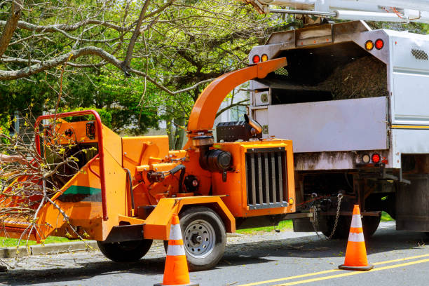 Best Landscape Design and Installation  in Hackettstown, NJ