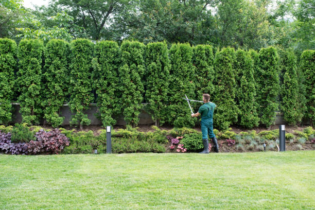 Best Tree Preservation Services  in Hackettstown, NJ
